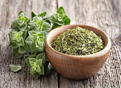قیمت و خرید عمده بادرنجبویه درجه یک